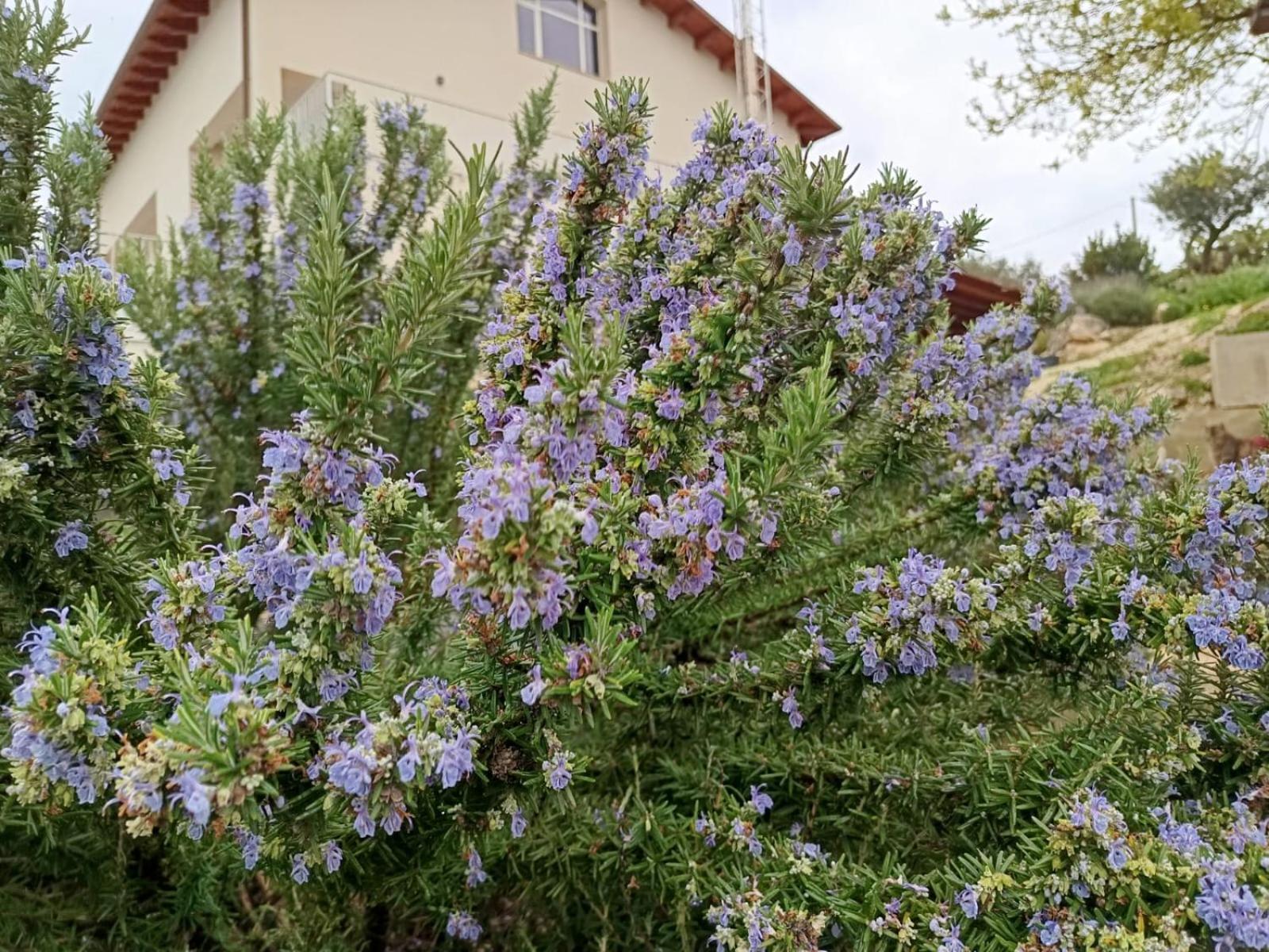 B&B Tenute Lazzarino Sciacca Luaran gambar